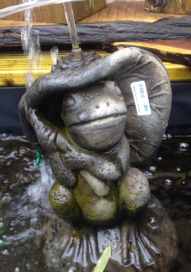 Water Lily Frog Plumbed Pond Spitters Water Features Windy Ridge